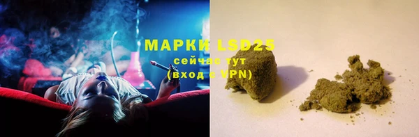 трава Бородино