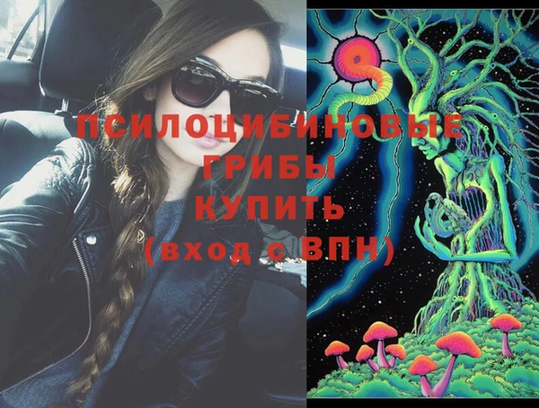 соль курить ск Богородицк