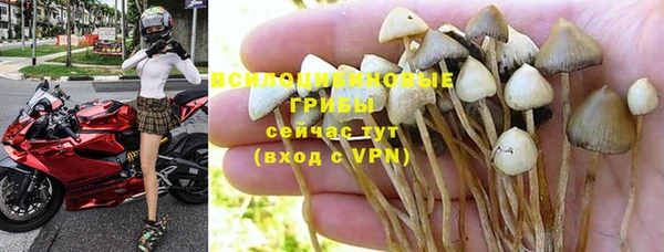 ешки Бугульма