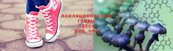 винт Бронницы
